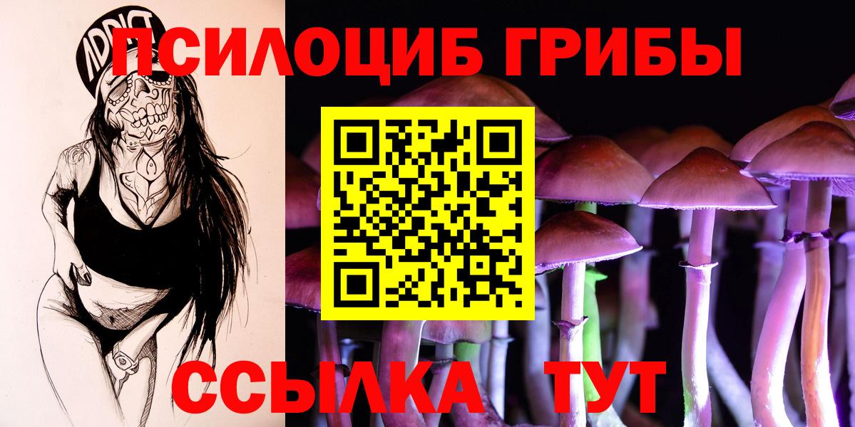 Псилоцибиновые грибы Magic Shrooms Ржев