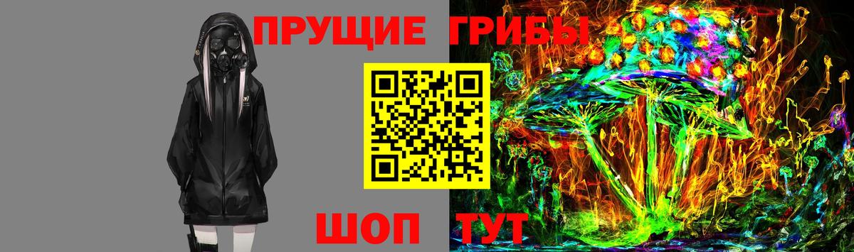 Ржев  Галлюциногенные грибы Cubensis  Вход с VPN 